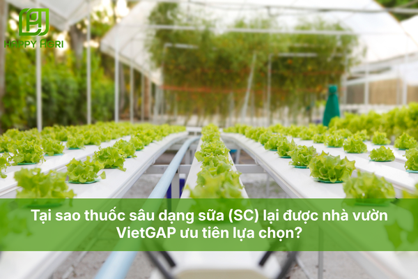 Tại sao thuốc sâu dạng sữa (SC) lại được nhà vườn VietGAP ưu tiên lựa chọn?
