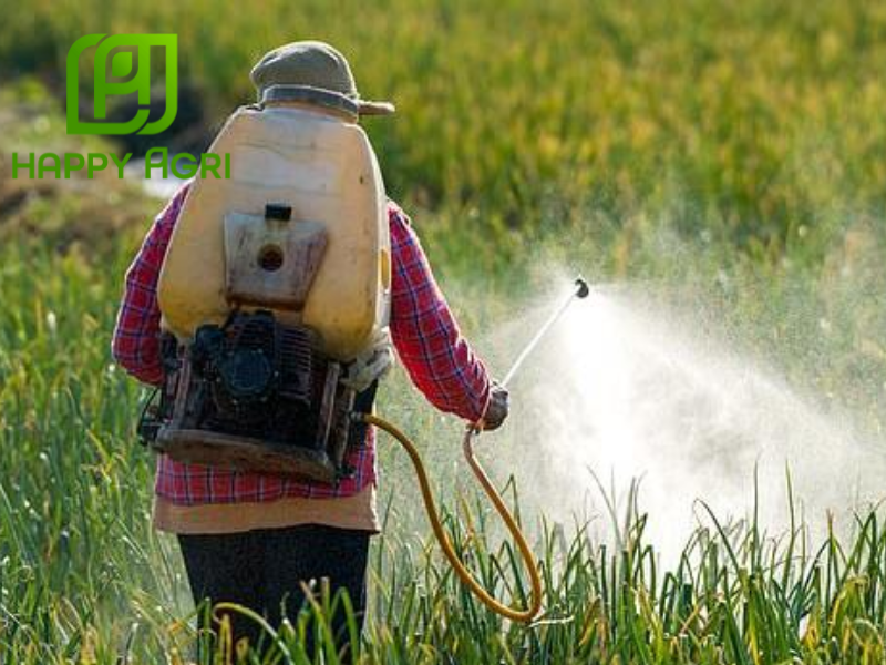 nông dân phun Thuốc trừ sâu LEDAN 4GR - NIFADAN 40G