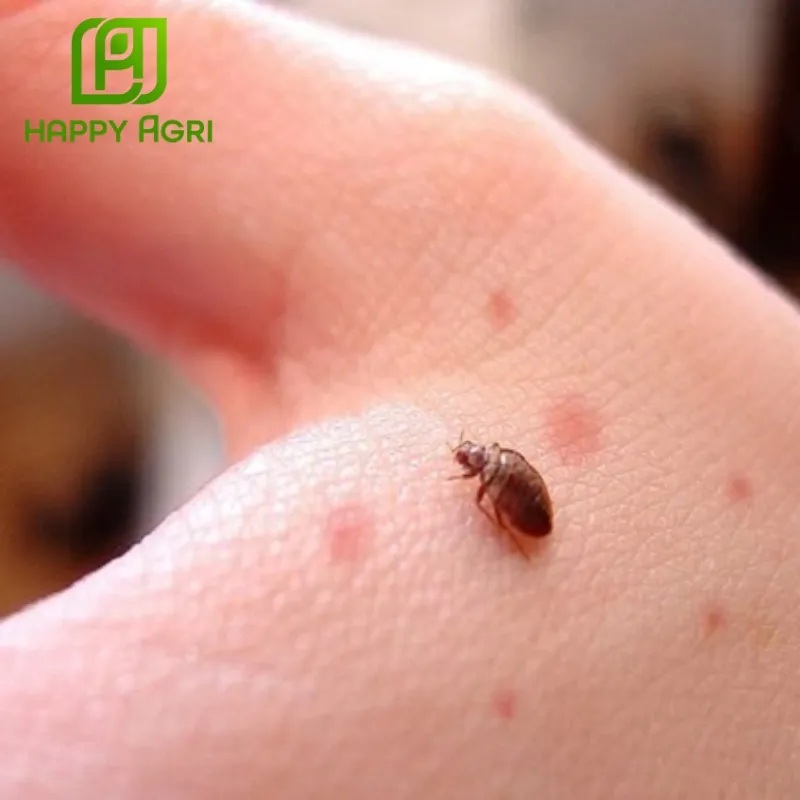 trường hợp nào nên dùng chế phẩm y tế diệt côn trùng pertin 50ec