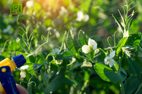 Lưu ý khi sử dụng 