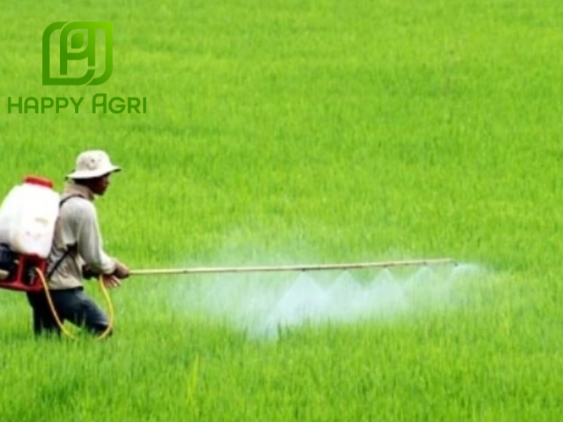 nông dân phun Thuốc trừ rệp sáp NAGENTO 22.4SC