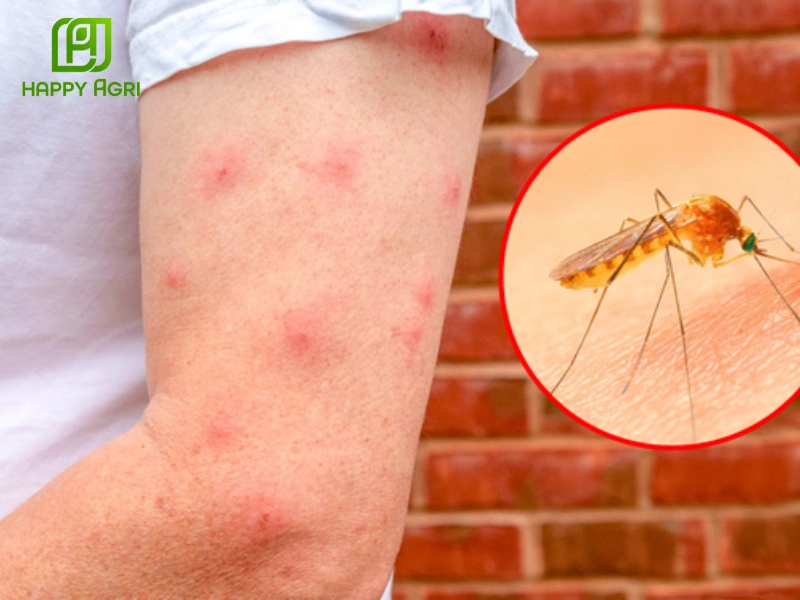 Chế phẩm diệt muỗi dùng trong gia dụng và y tế SAFADAN 65