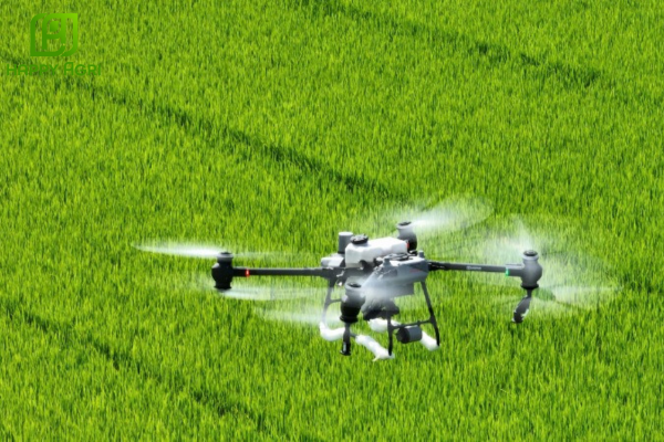 Lưu ý khi sử dụng