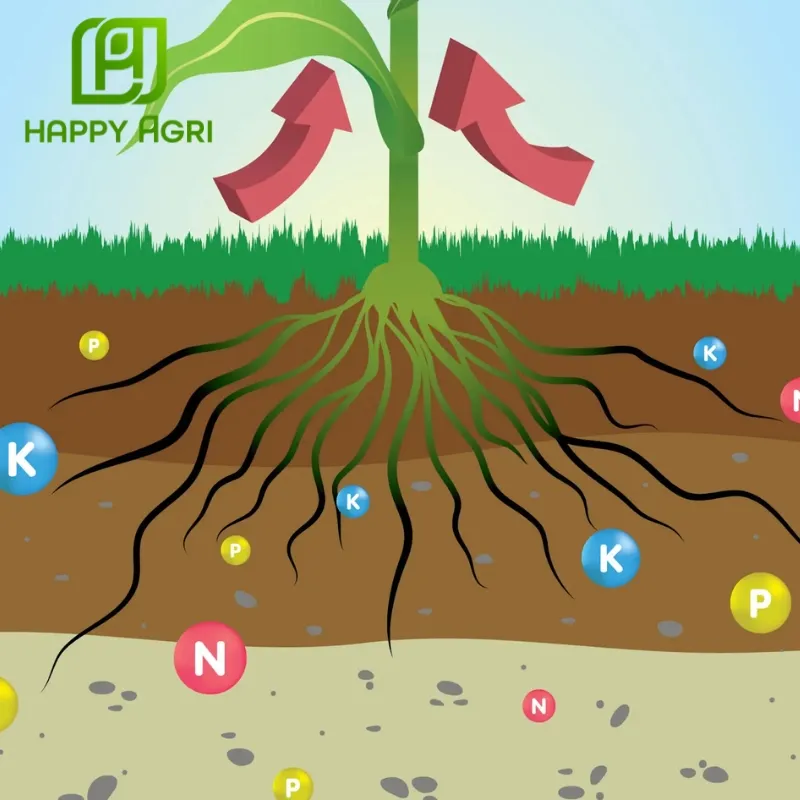 phân bón Bio King Plus