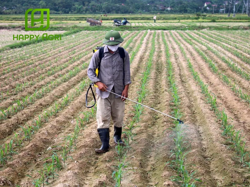 Hướng dẫn sử dụng THUỐC TRỪ BỆNH DOROVAL 50WP