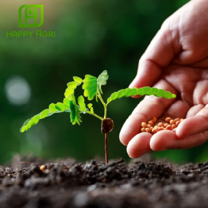 hướng dẫn bảo quản phân bón npk 5-55-15 foska 75