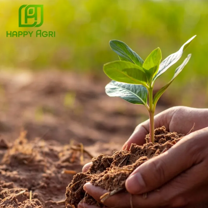 ưu điểm của phân bón abc rooting made in korea