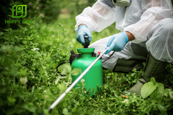 Lưu ý khi sử dụng