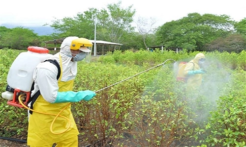 thuốc trừ bệnh cây trồng