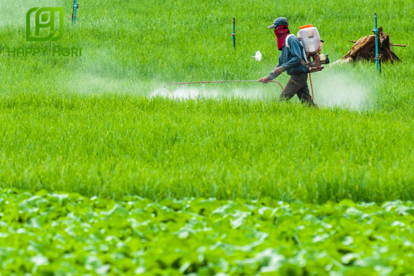 Lưu ý khi sử dụng 