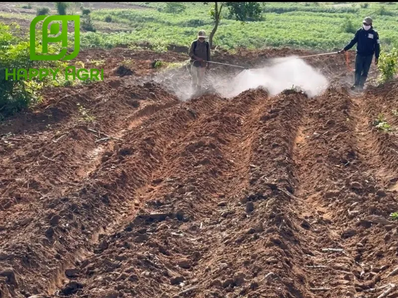 nông dân phun thuốc trừ cỏ Gussi Bastar 200SL