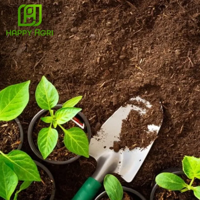 phân bón Bio King Plus