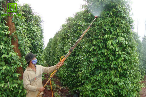 Lưu ý khi sử dụng 