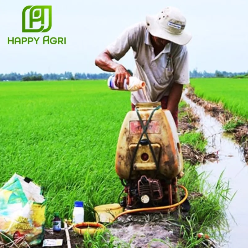 thuốc trừ cỏ Anly Gold 200WG thay thế 2,4D