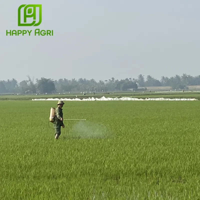 thuốc trừ cỏ Anly Gold 200WG thay thế 2,4D