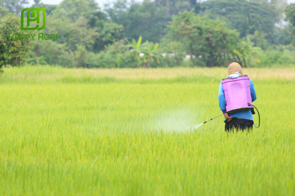 Lưu ý khi sử dụng 