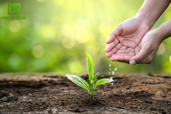 Câu hỏi thường gặp