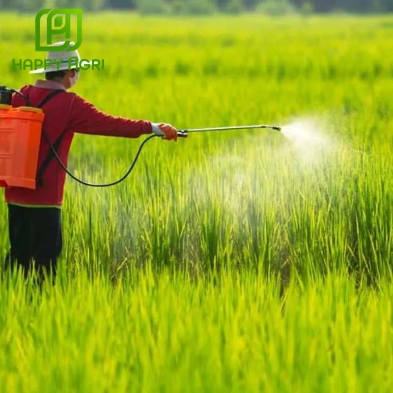 thuốc trừ cỏ Anly Gold 200WG thay thế 2,4D