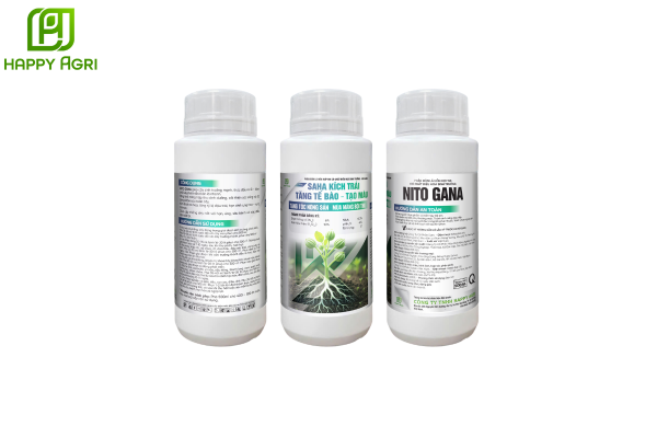 Phân bón NITO GANA Hiệu SAHA KÍCH TRÁI – TĂNG TẾ BÀO – TẠO MÀU