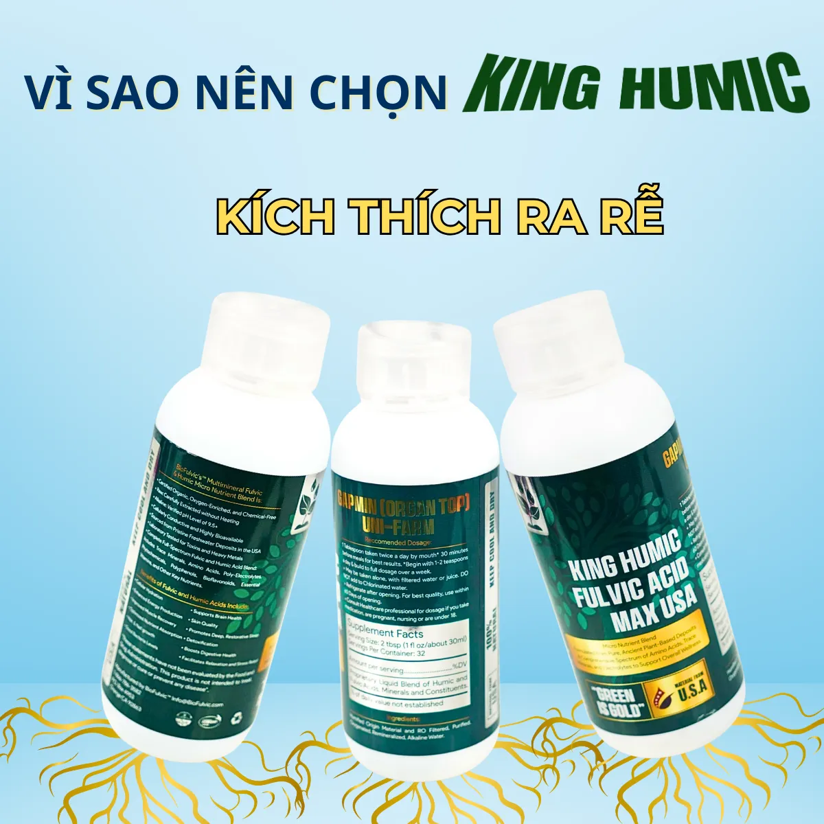 Phân bón lá NPK sinh học giúp to trái, chắc trái, sáng bóng trái