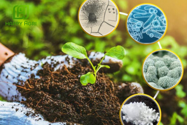 Công dụng TRICHODERMA AGRI