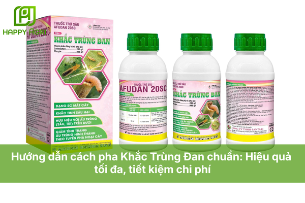 Hướng dẫn cách pha Khắc Trùng Đan chuẩn: Hiệu quả tối đa, tiết kiệm chi phí.