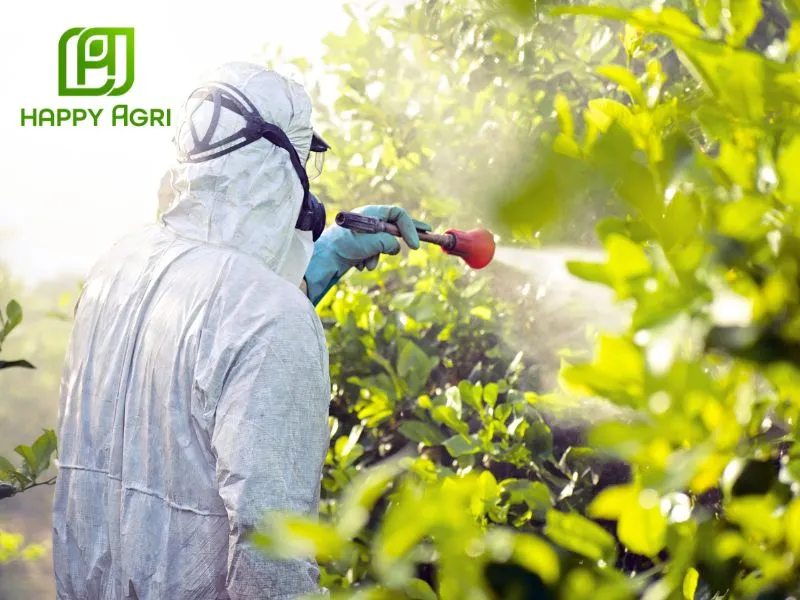 Phun toàn bộ tán lá