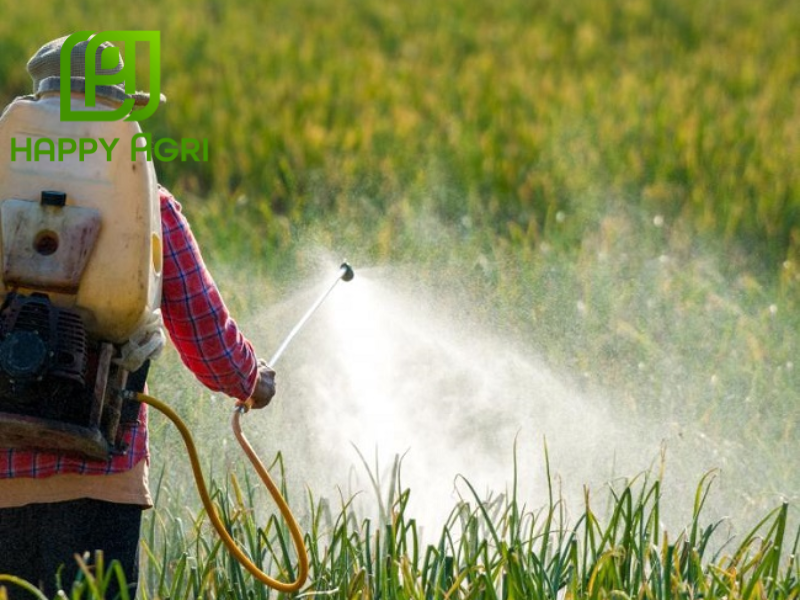 nông dân sử dụng thuốc trừ bệnh ACODYL 25EC