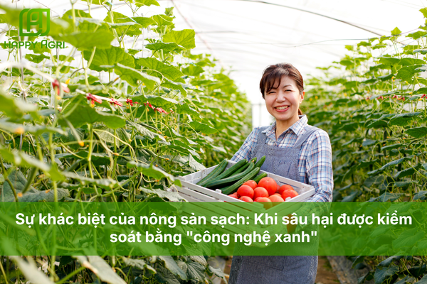Sự khác biệt của nông sản sạch: Khi sâu hại được kiểm soát bằng "công nghệ xanh"