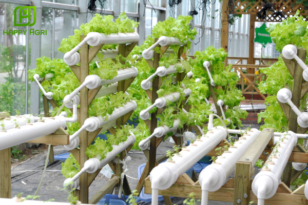 Hiệu quả sinh học vượt trội từ hạt thuốc siêu mịn