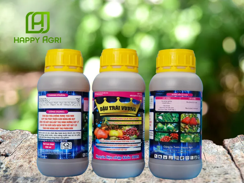 ĐẬU TRÁI VƯƠNG