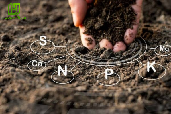 Lưu ý khi sử dụng