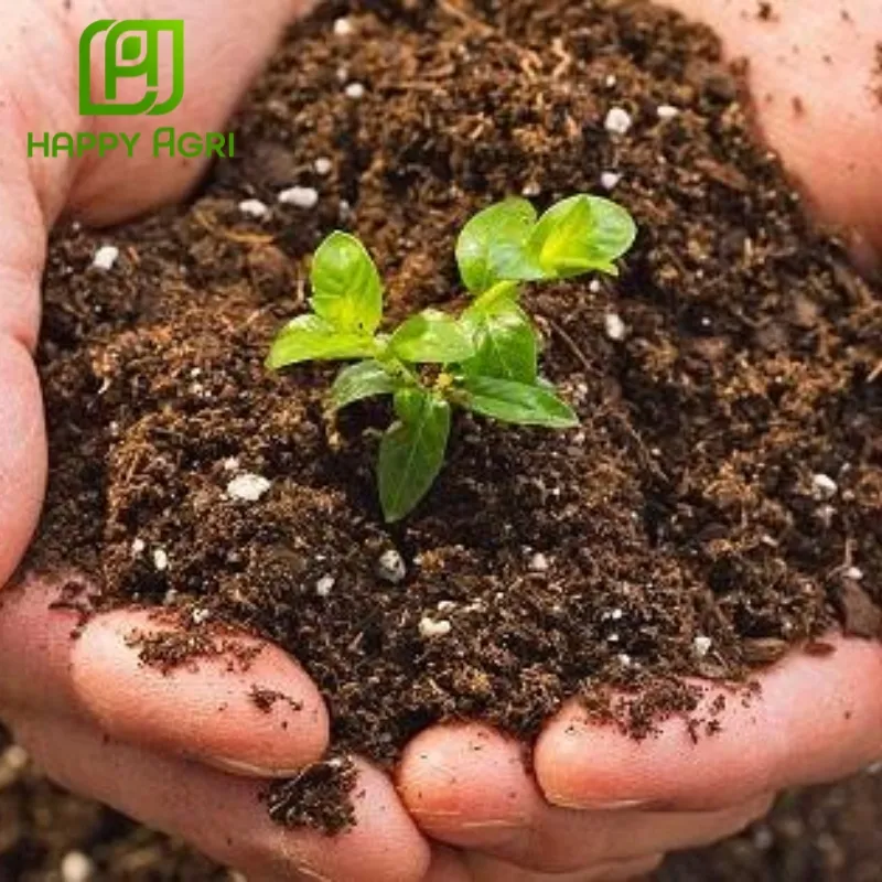 phân bón Bio King Plus