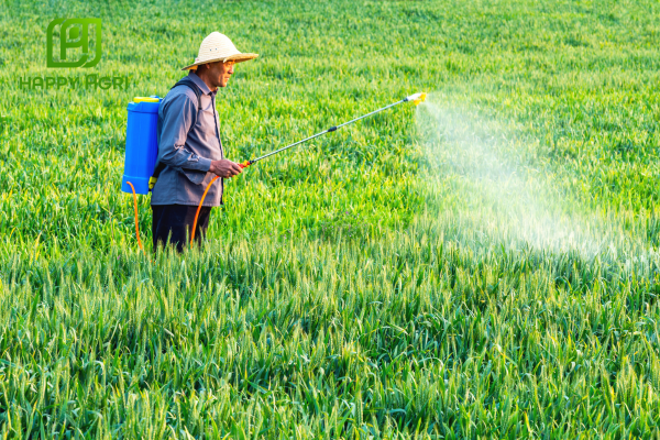 Lưu ý khi sử dụng 