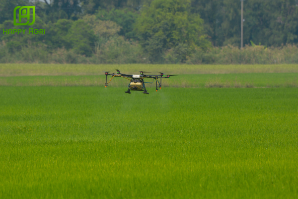 Lưu ý khi sử dụng