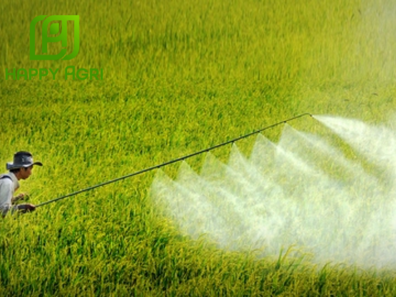 nông dân phun Thuốc trừ bệnh ​Amilan 300SC