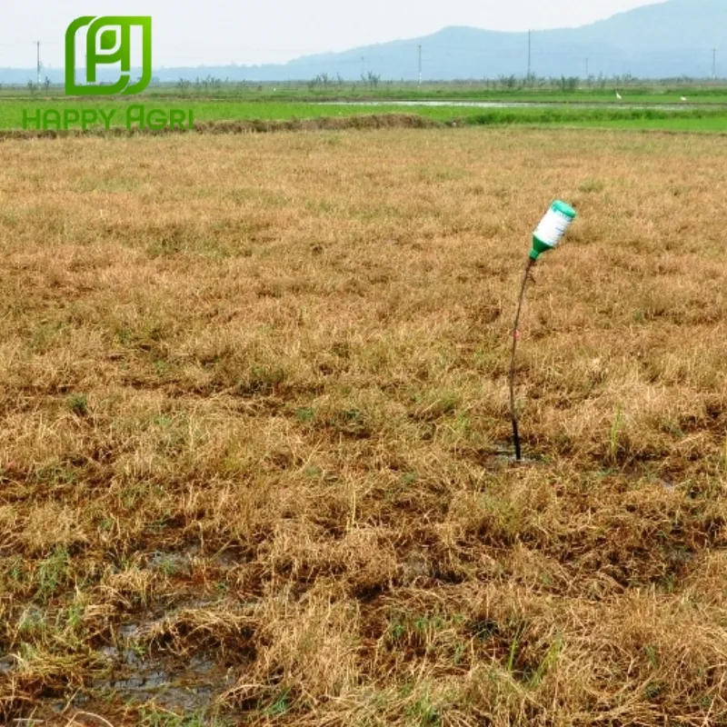 thuốc trừ cỏ Anly Gold 200WG thay thế 2,4D