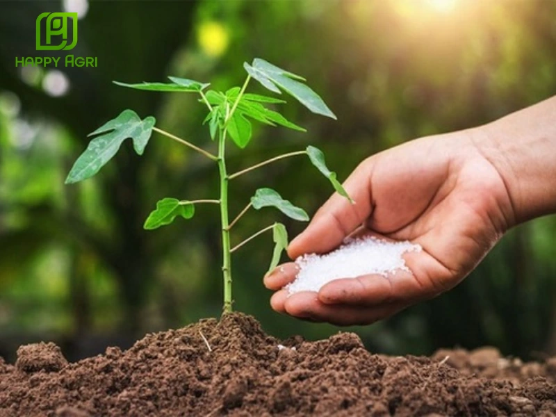 Chất hỗ trợ tăng lực thuốc BVTV CHIMTOOJJANG