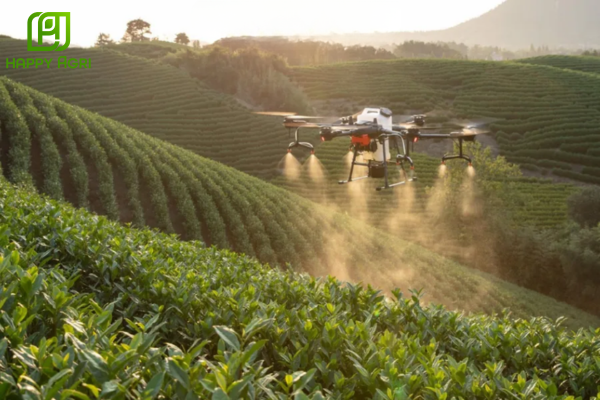 Lưu ý khi sử dụng