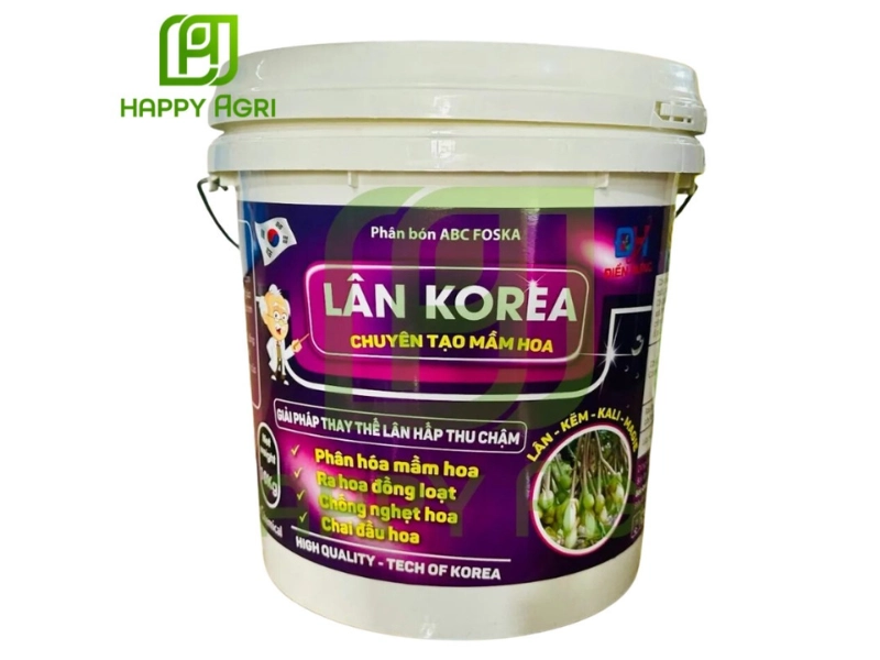 ABC FOSKA LÂN KOREA