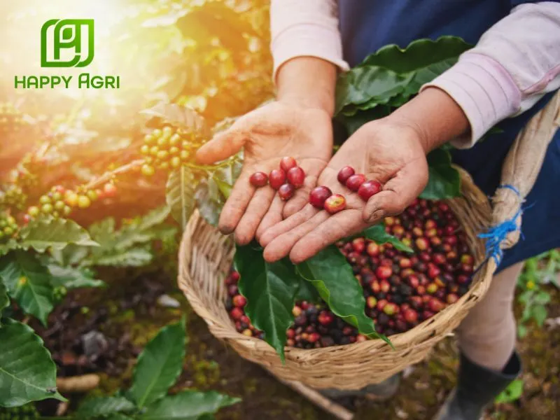 Dùng cho cây công nghiệp, cây ăn trái và rau màu