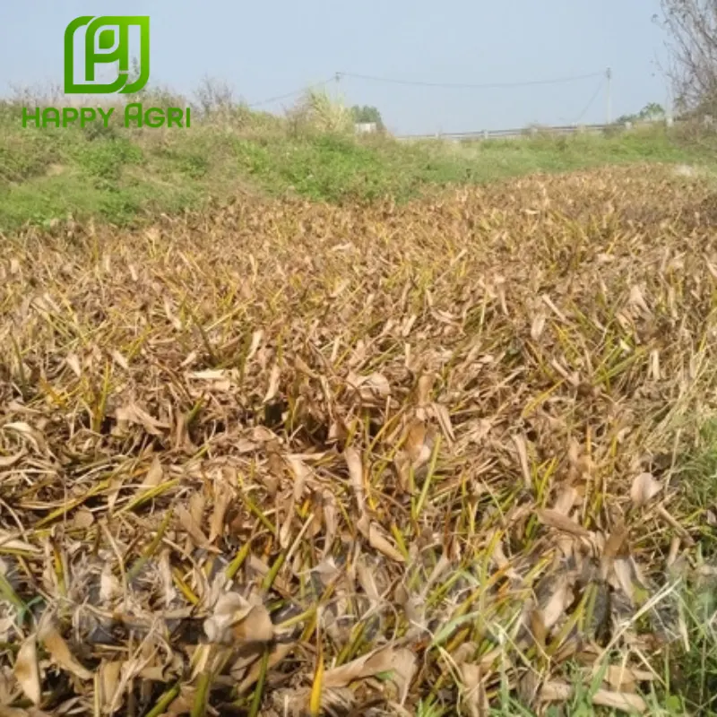 newfosinate 150sl nước đỏ