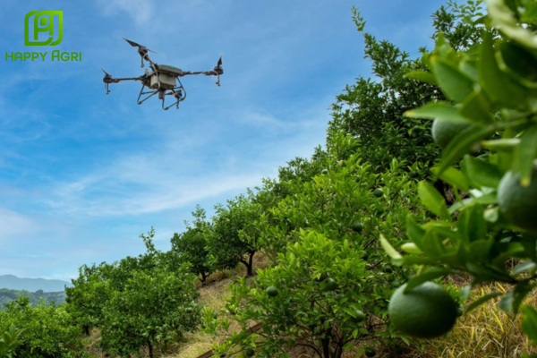  Lưu ý khi sử dụng