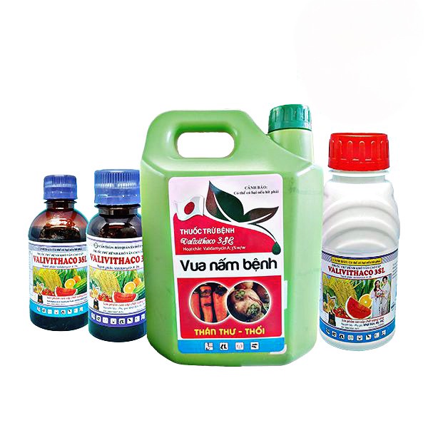 Valivithaco 3SL (Cao cấp)